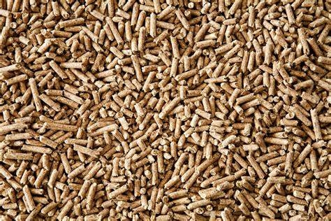 Pellets under luppen