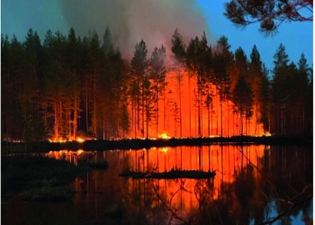 Även om skogsbränder har en positiv effekt på skogens ekologi följer också många negativa konsekvenser för markägare, boende och samhället i stort. Tack vare ny forskning har vi dock en hel del kunskaper som kan hjälpa oss att minska okontrollerad brandspridning och dess konsekvenser.
