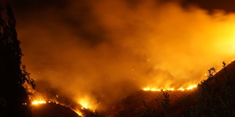Minst 18 personer har omkommit i de skogsbränder som härjar i Chile. Undantagstillstånd råder och över 50 000 människor har evakuerats.