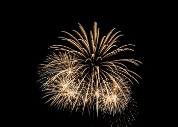 Abstract colorful firework display for celebration anniversary background